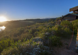 Elephant Hide of Knysna Guest Lodge