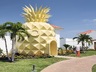 Pineapple Villa