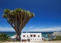 Chartfield Guesthouse