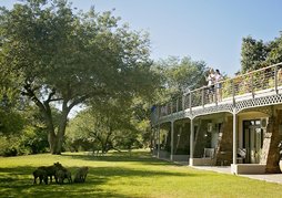 Ilala Lodge Hotel