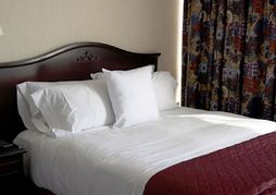 Airport Hotel Mayank Residency