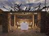 Romantic Dining