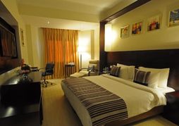 Golden Tulip Udaipur