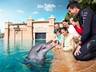 Dolphin Bay