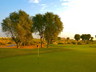 Golf Course
