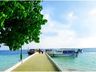 Dock