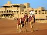Camel Trekking