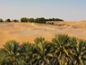Liwa Tour