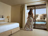 Premium Room - King or Twin Bed