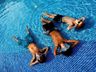 Kiddie Pool