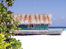 Bathala Island Resort8