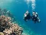 Diving