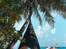 Beachside