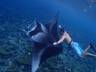 Diving