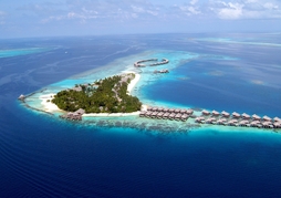 Coco Bodu Hithi