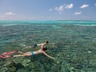 Snorkel