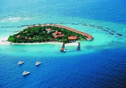Vivanta By Taj - Coral Reef