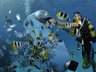 The Underwater Subscooter Experience