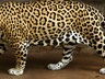 Dehiwala Zoo