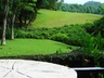 Brief Garden