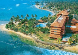 Hikka Tranz by Cinnamon