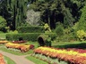 Peradeniya Botanical Gardens