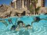 Exercise/Lap Pool