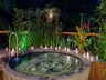 Sarojin Suite Plunge Pool