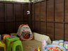 Childrens Pool & Playground