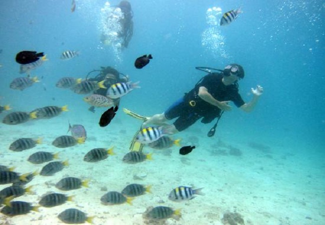 Snorkelling