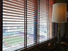 Guestroom View