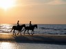 Horse Riding