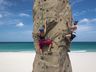 Outdoor Rock Climbing