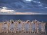Outdoor Wedding Area