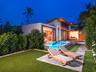 Tropical Oasis