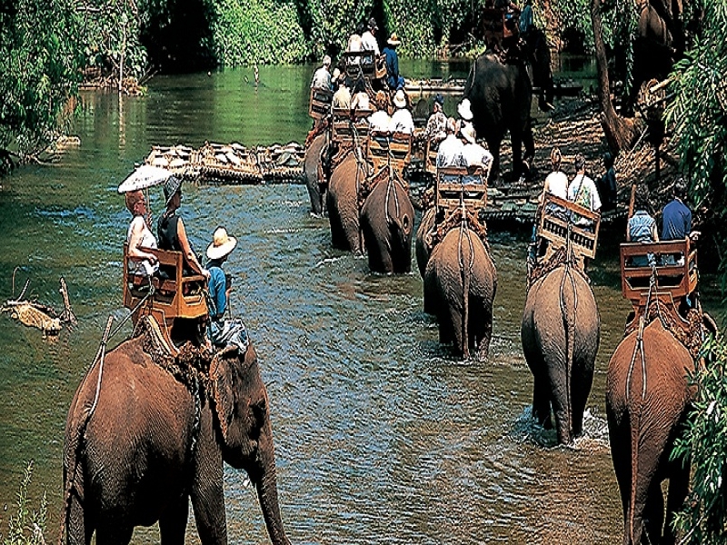 Elephant Riding