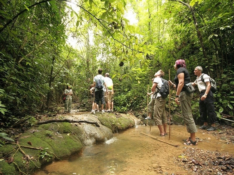 Khao Sok Jungle Adventure