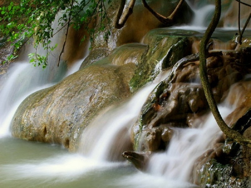 Klong Thom Emerald Pool & Hot Spring