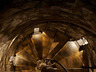 The Cellar