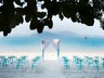Beach Wedding