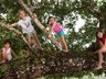 Little Robinson Climbing Trees