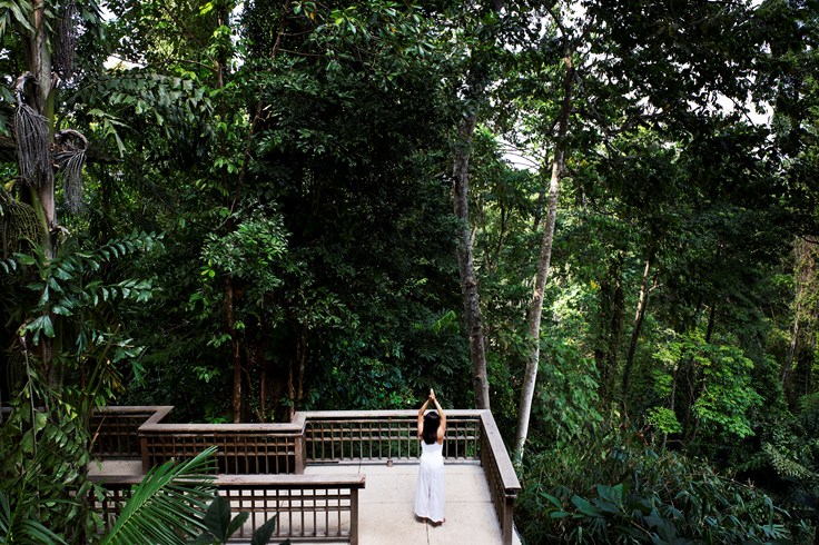 Yoga Amids The Rainforest
