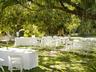 Weddings