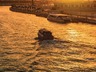 Boat Cruises