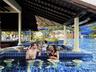 Pool Bar