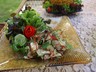 Dining 6