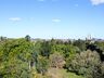 Guestroom View