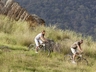 Mountain Biking