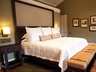 Wollemi Suite