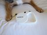 Pet-Friendly